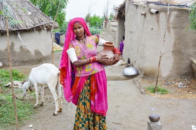 Solemnity of St Joseph