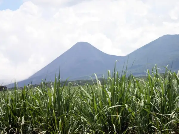 CAFOD response to International Development White Paper