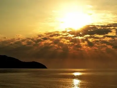 World Values Auction