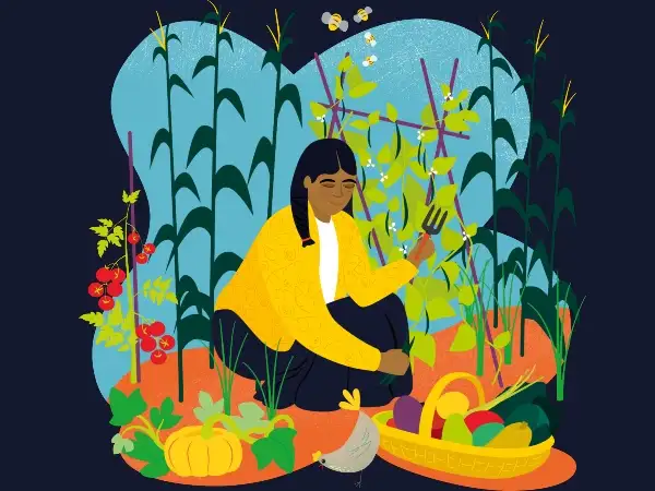 Vegetable Garden.jpg