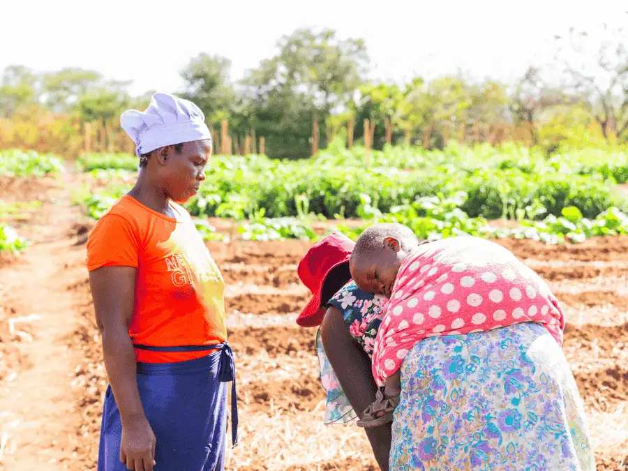 Lent calendar - 23 February