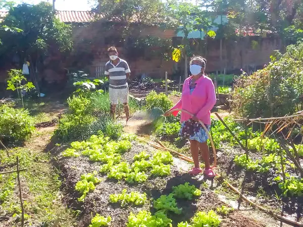 LAC - Brazil - Community kitchen garden