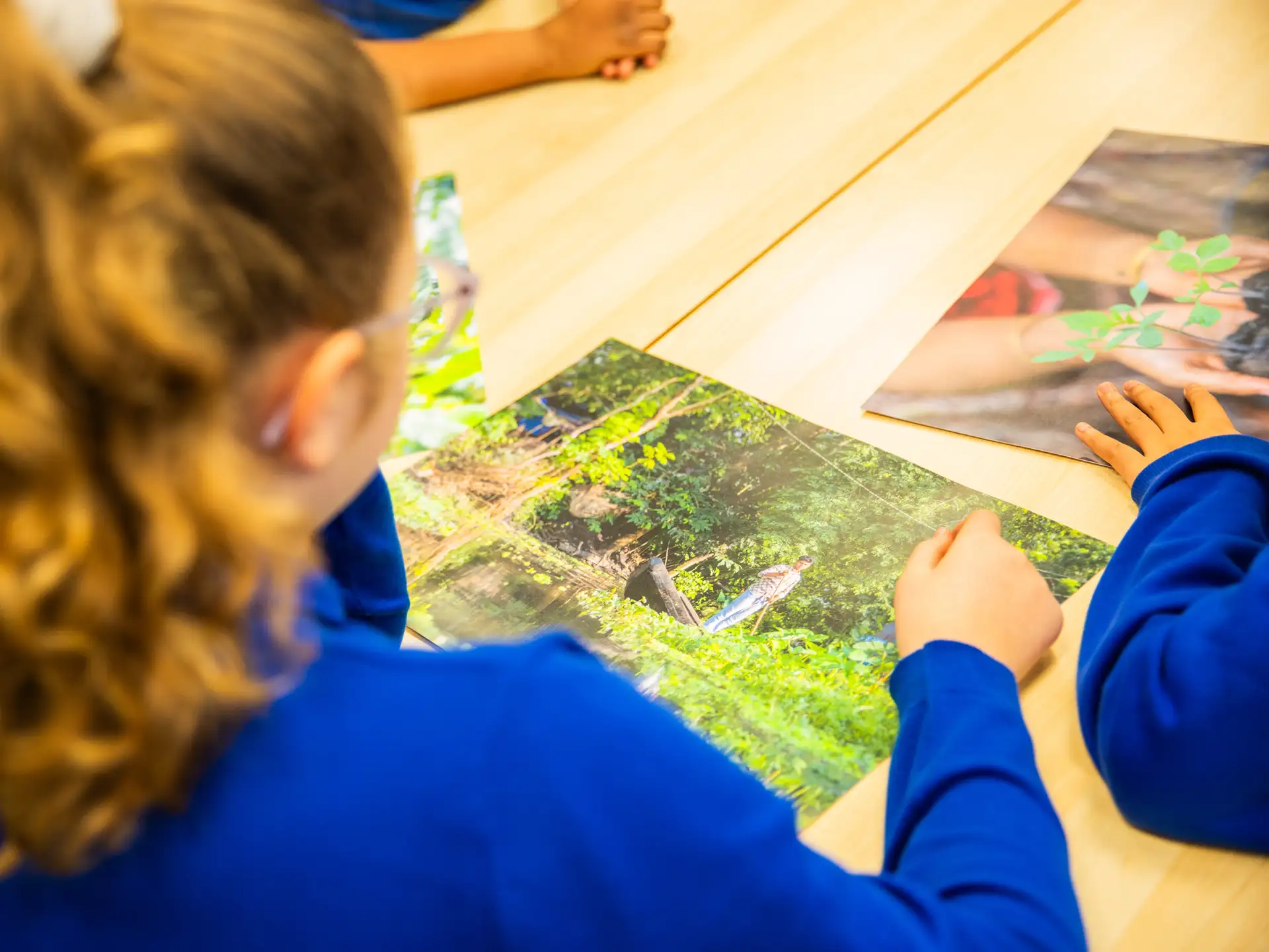 Primary teaching resources