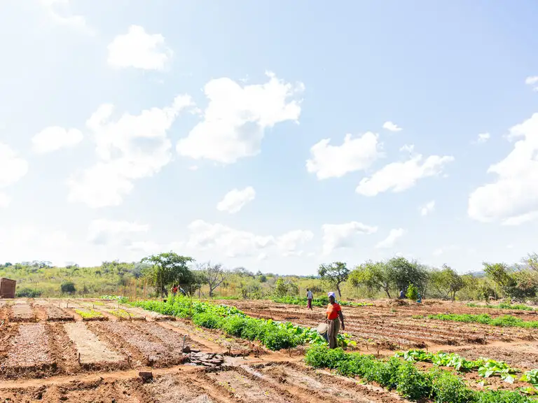 Lent calendar 16 March