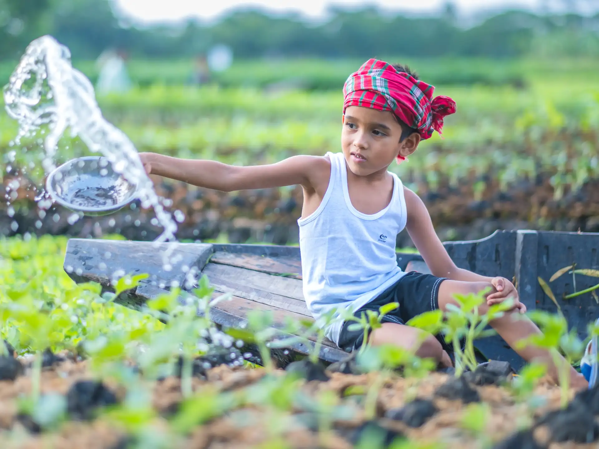 Lent 2026: Love grows