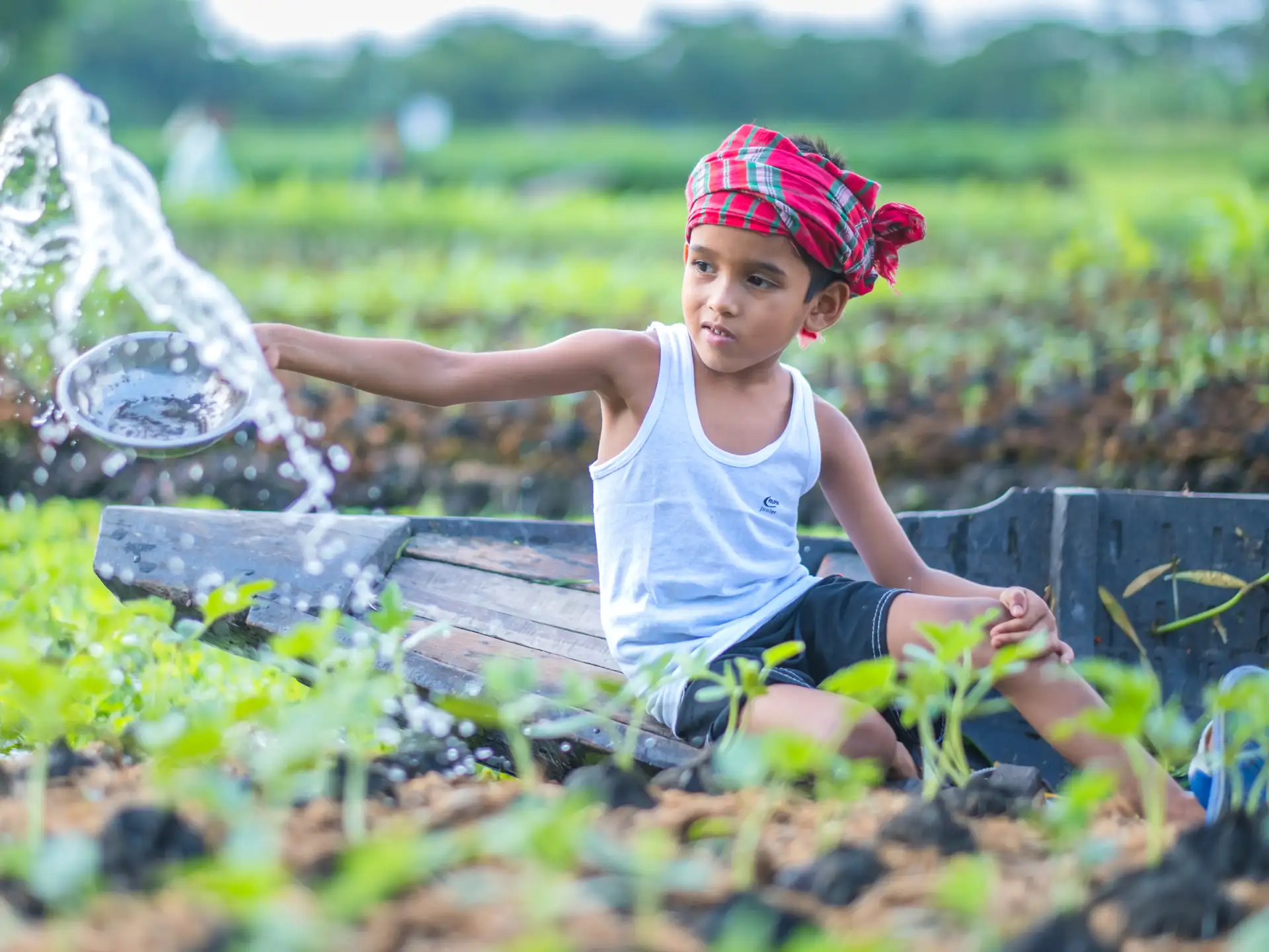 Explore our Lent resources