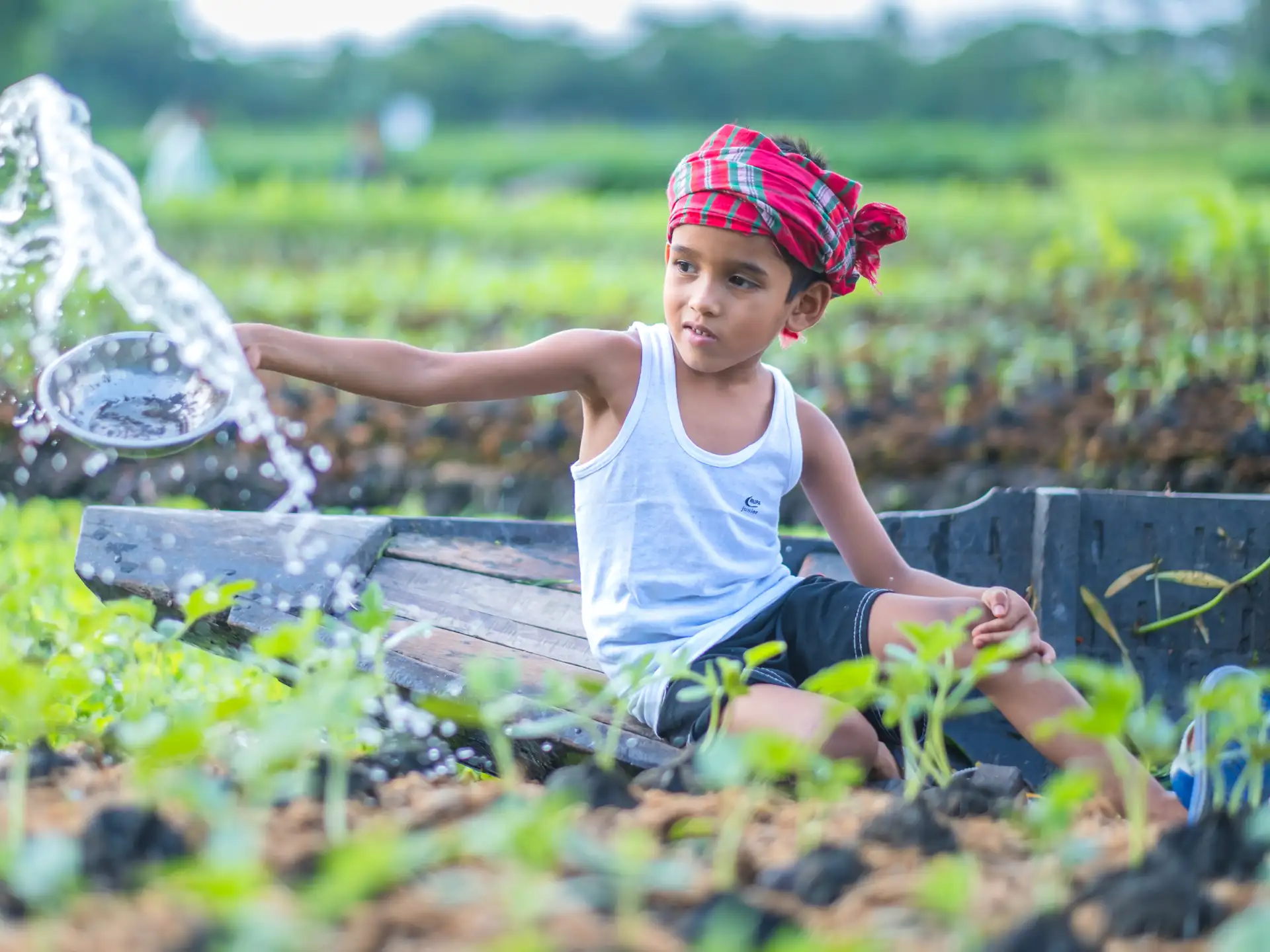 Lent national assembly