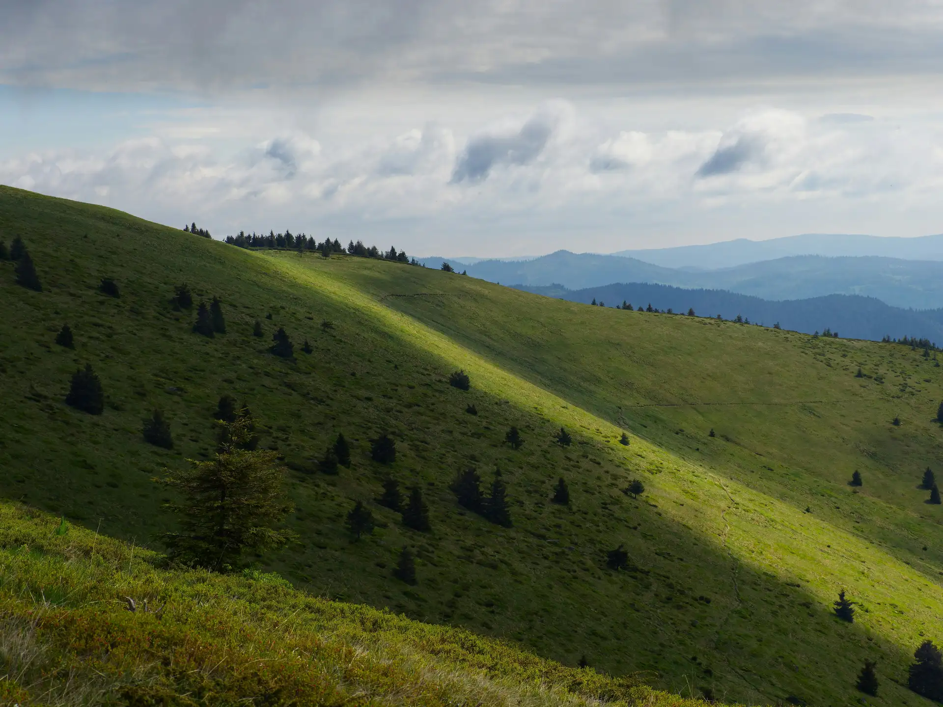 Lent calendar 16 March