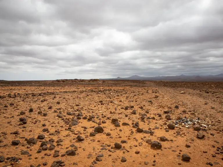 Image - Lent calendar 12 April