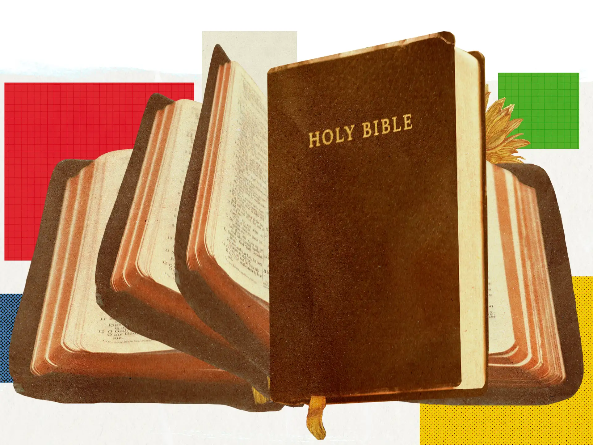 Scripture for young people