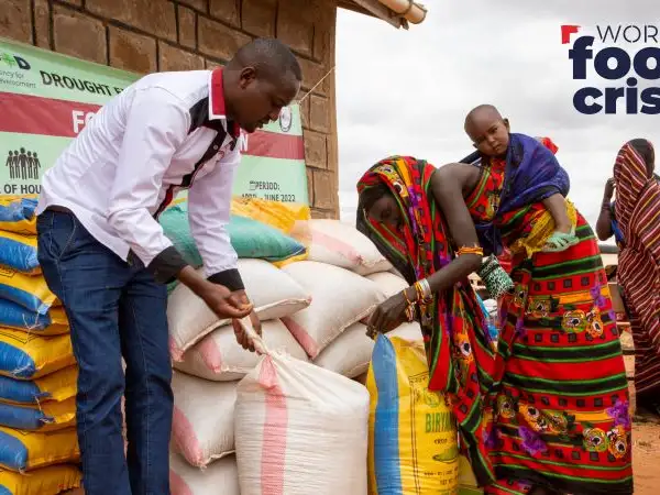 World food crisis: What you can do today