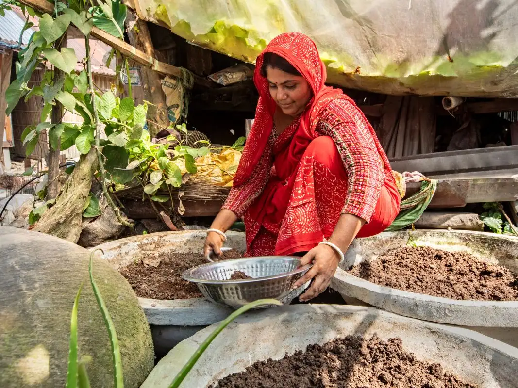 BRACE: Building Resilience through Agroecology for Coastal Emergencies