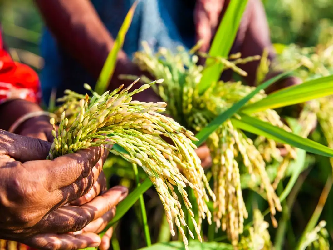 Five hopeful New Year’s resolutions for change in 2025