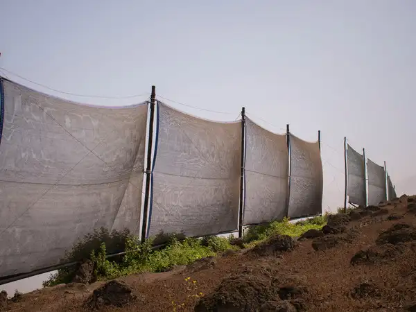 Latin America - Peru - Fogcatcher