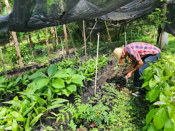 Dilexi te's call for renewal