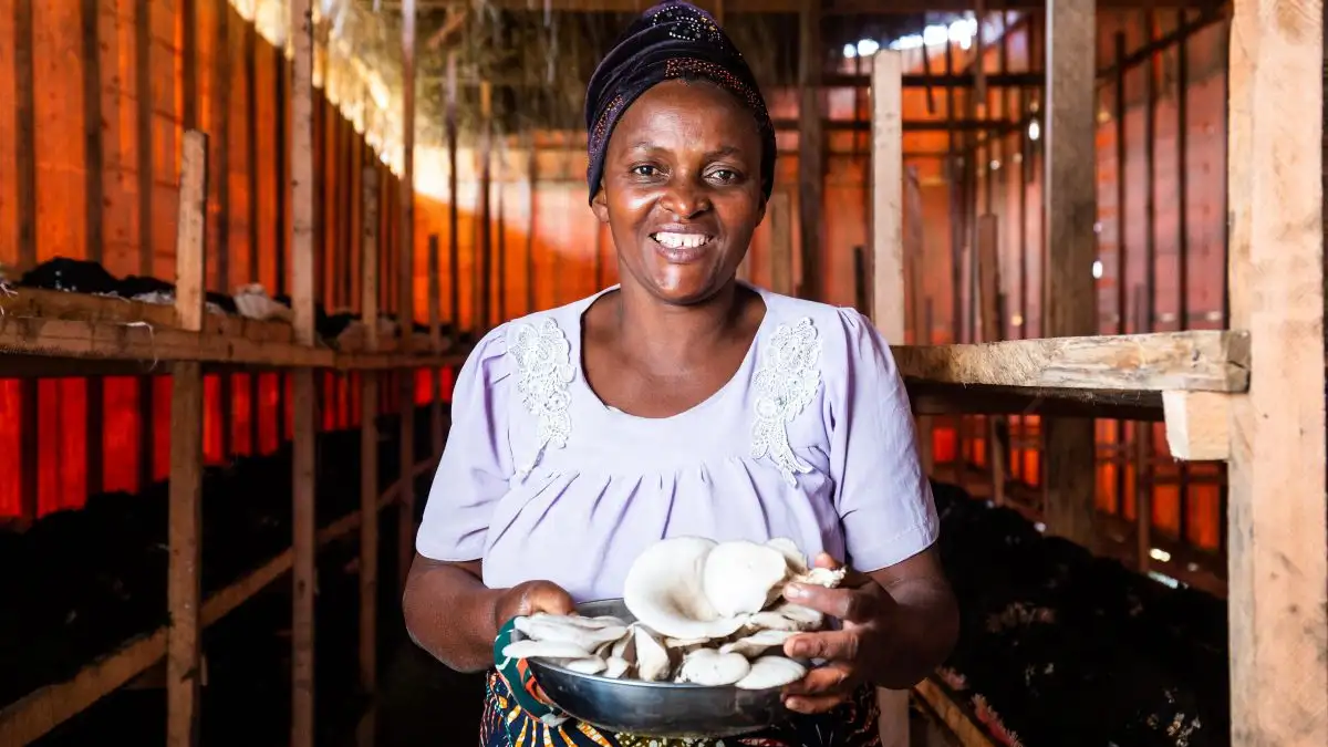 Join the Global Neighbourhood