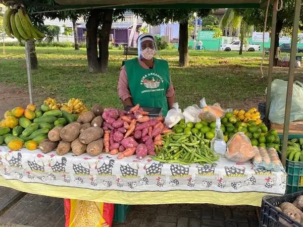 Latin America - Brazil - Local farmers safely supply food to families in Brazil