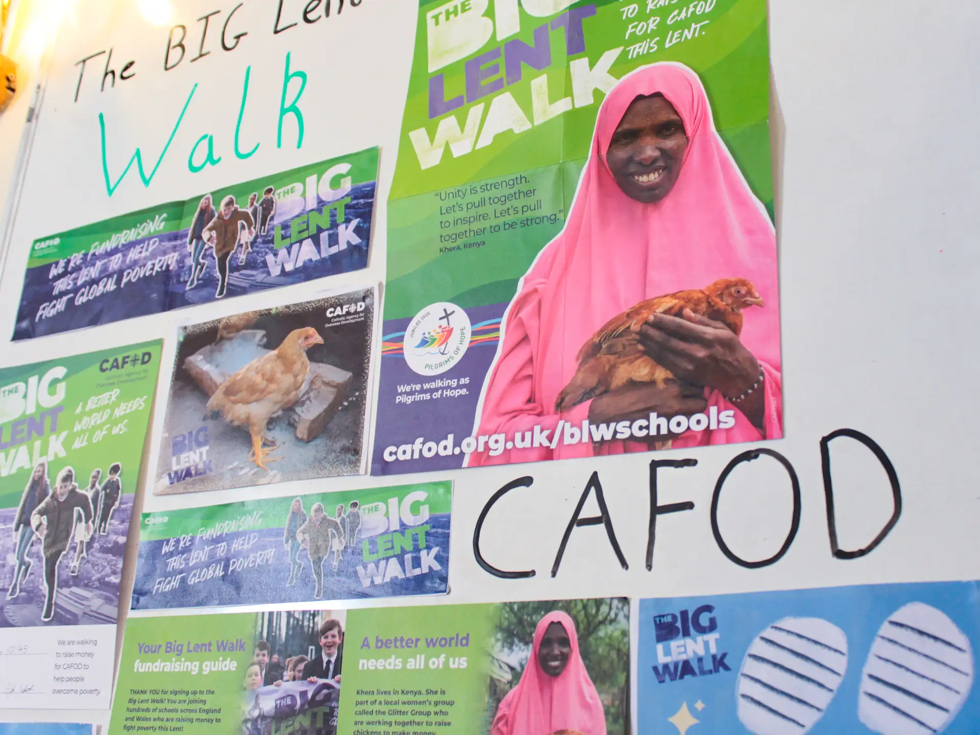 What is CAFOD?