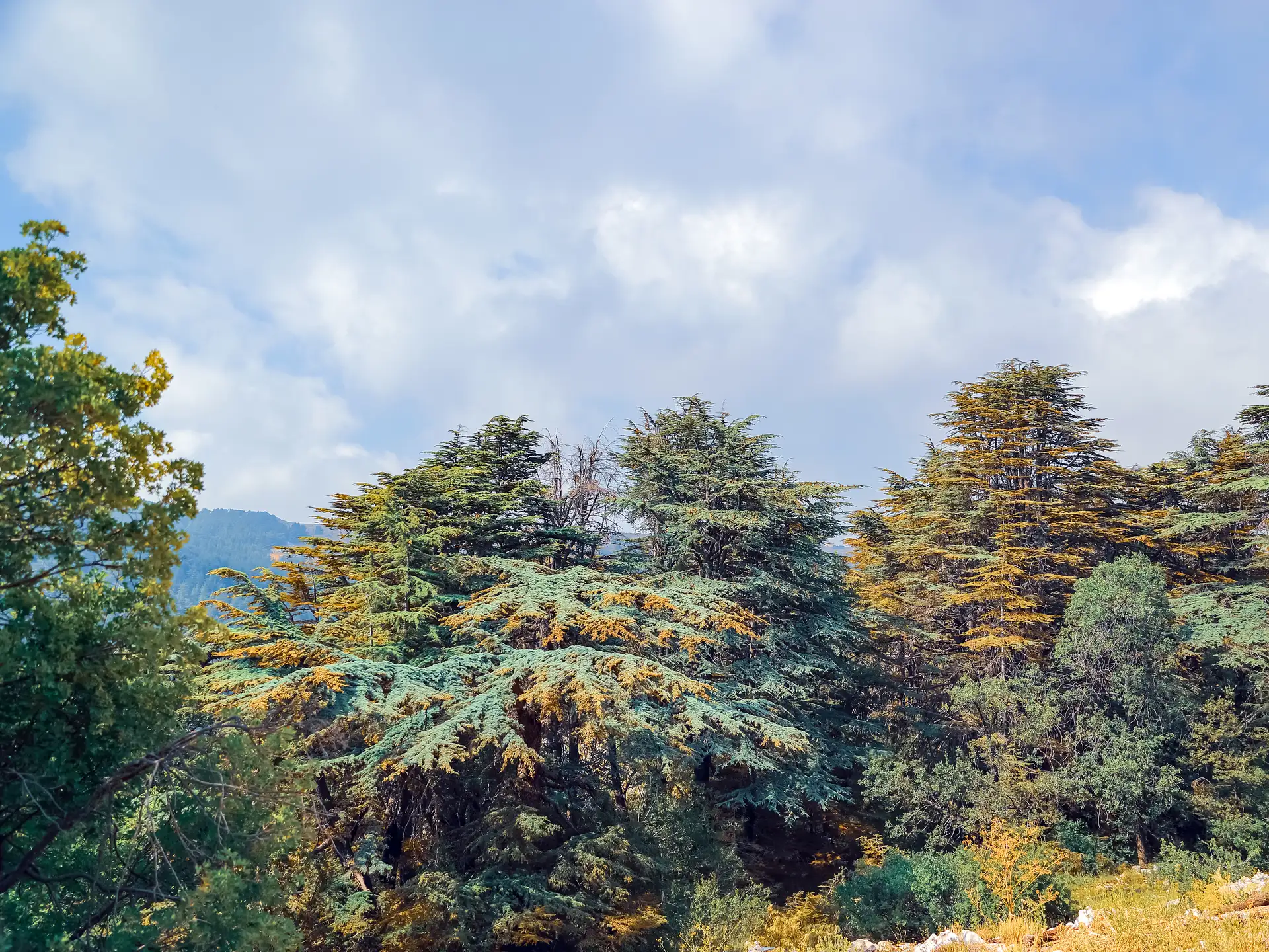 Lent calendar 28 March