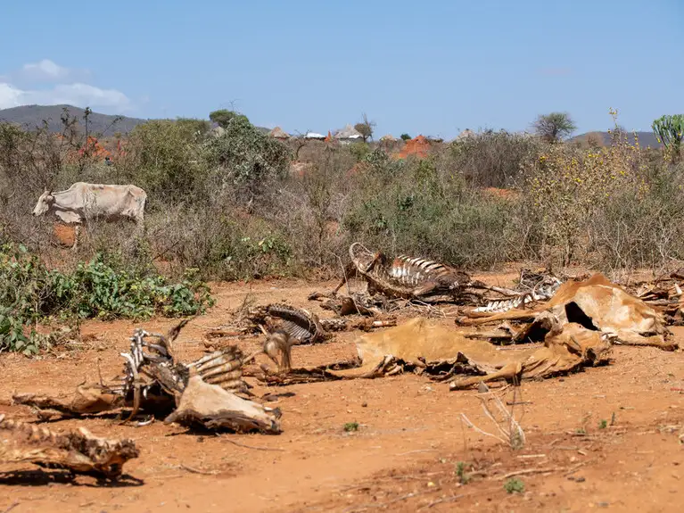 Ethiopia Lent Appeal 2