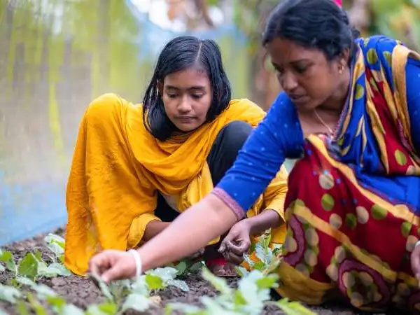 Workshop slides for primary schools