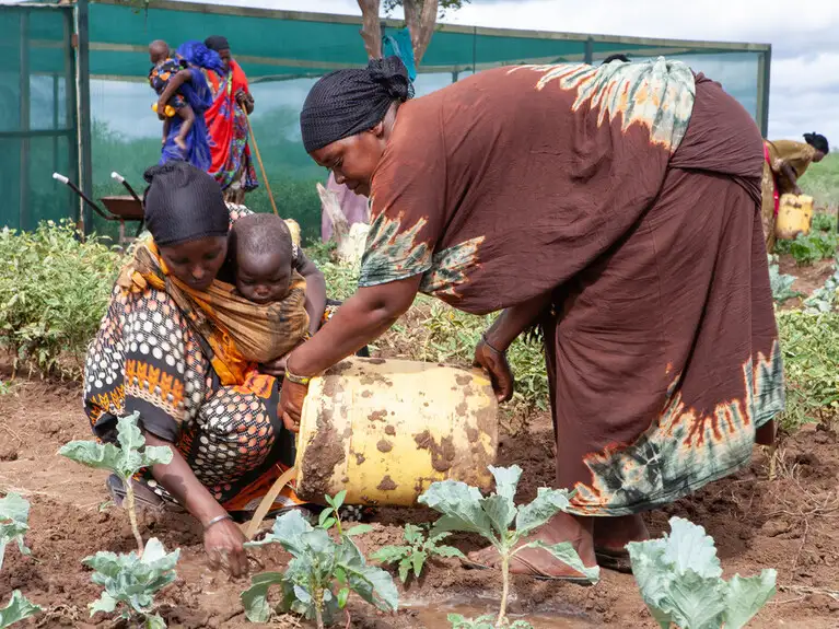 Veronica wipes the face of Jesus