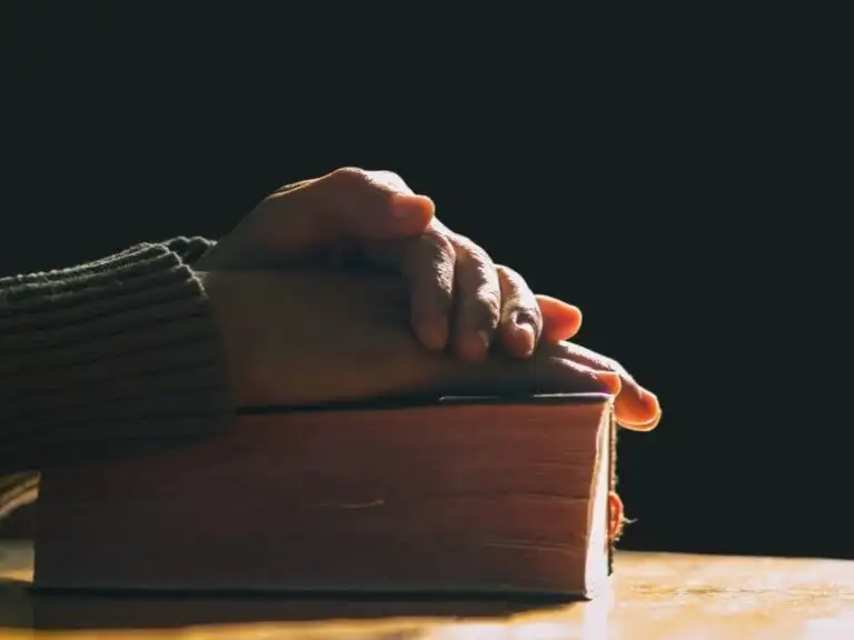 Contemplation in the Year of Prayer