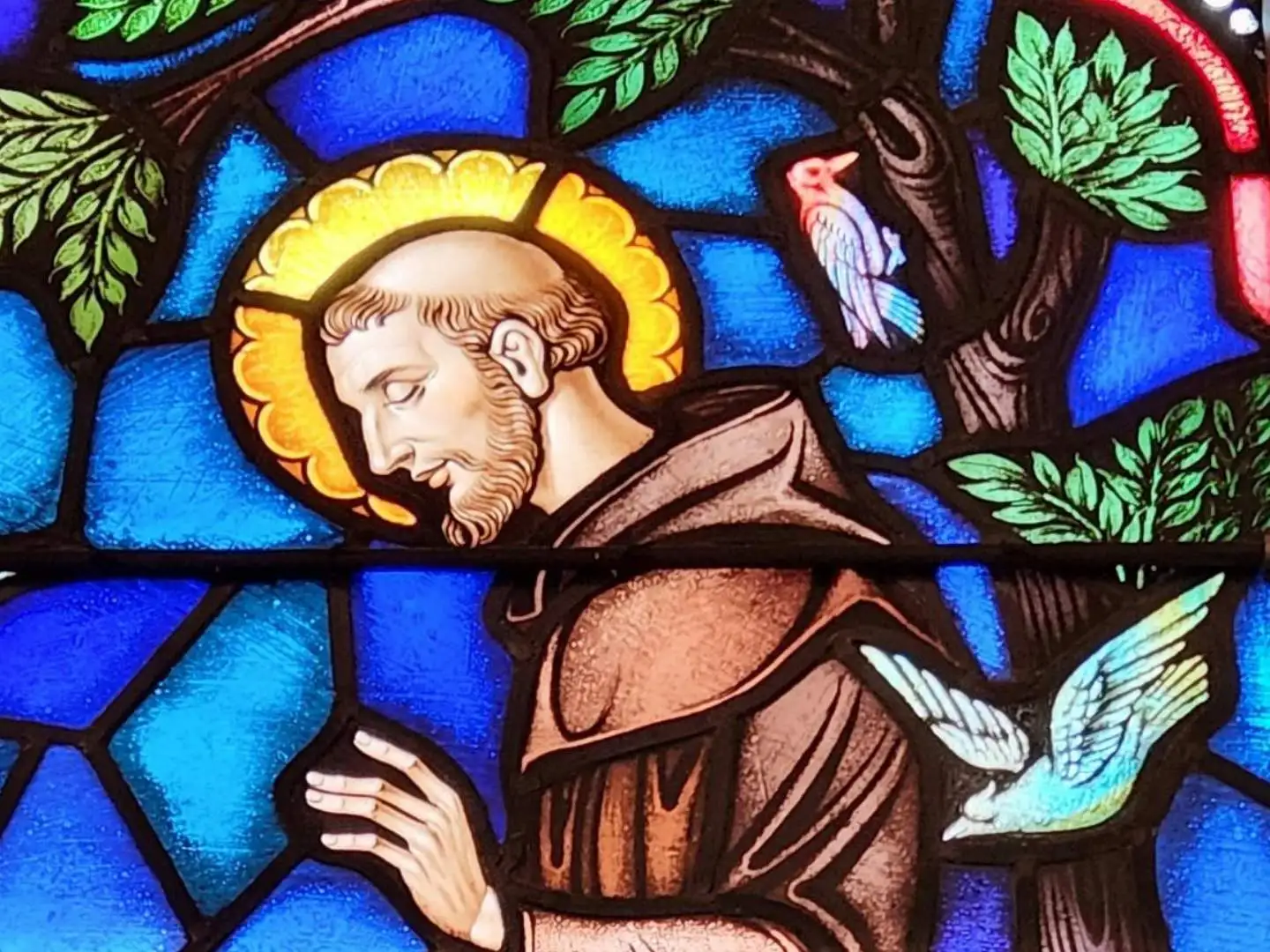 Francis of Assisi stained glass window