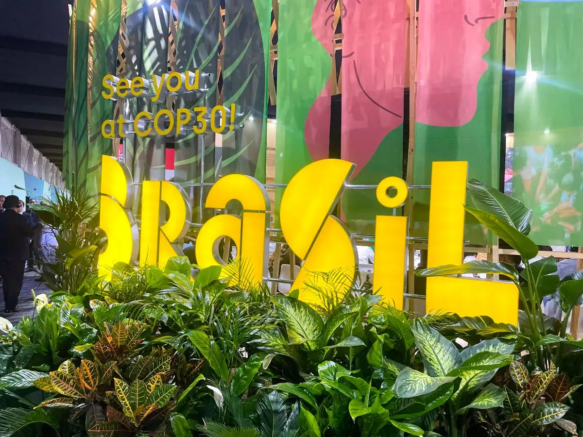 Pope Leo to COP30: Global peace depends on world leaders’ response to the climate crisis