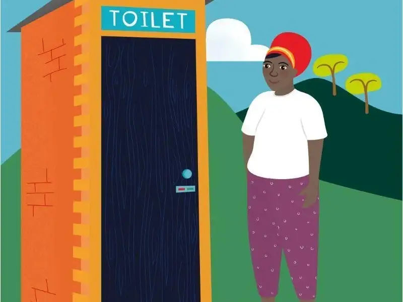 Terrific toilet: £89