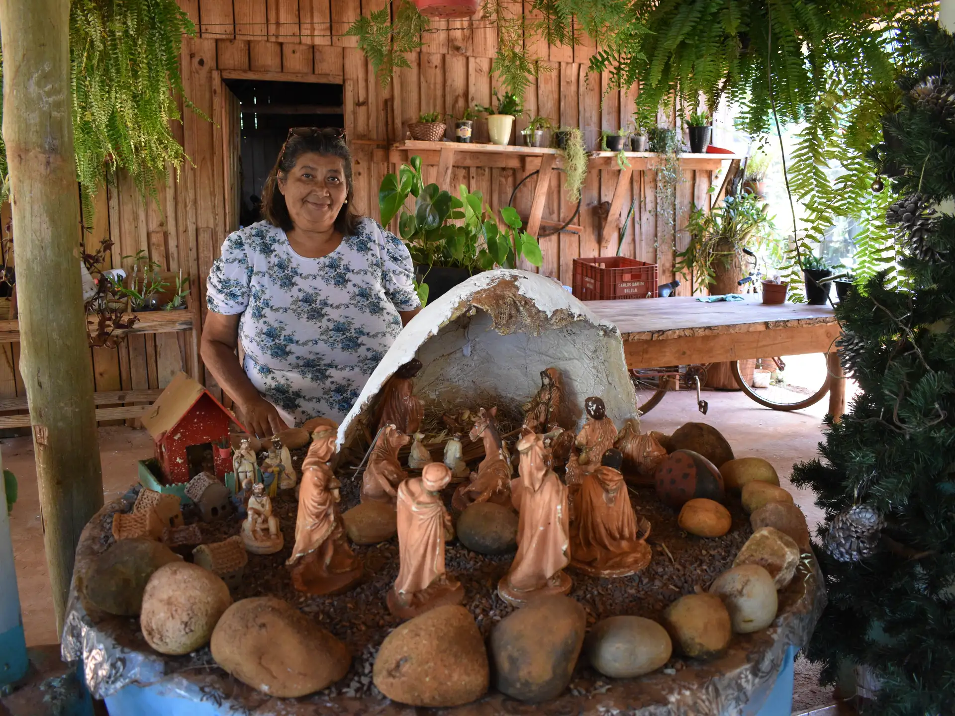 An 800-year-old tradition: Christmas cribs