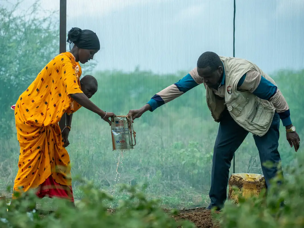 How debt feeds food insecurity - and what can be done