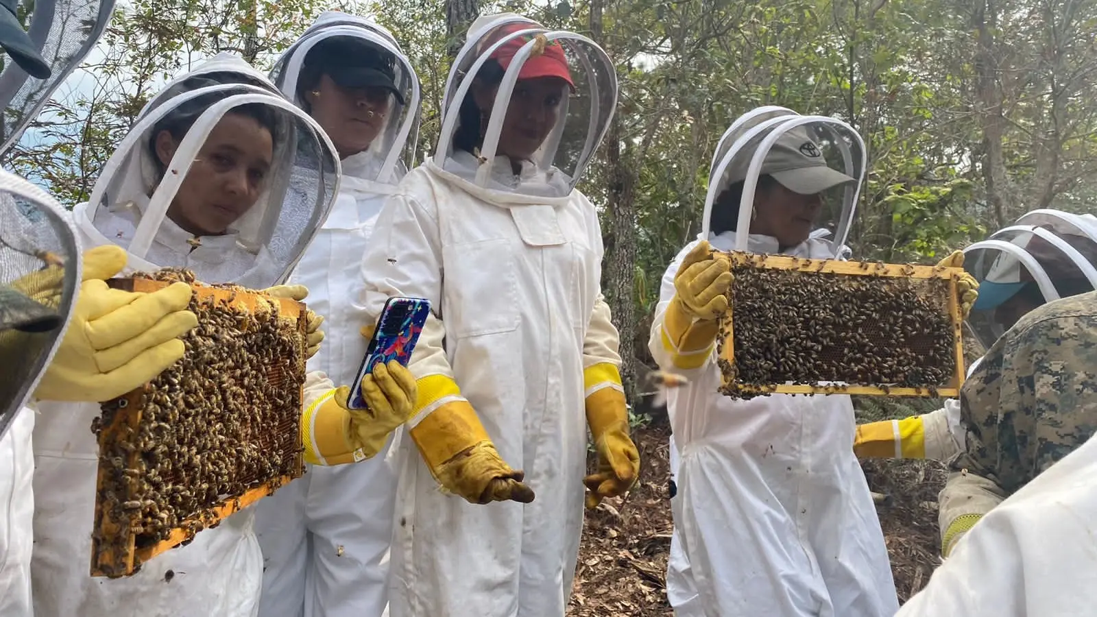 Latin America - Honduras - Beekeepers