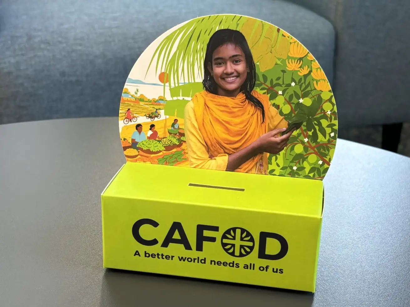 Fundraise in your school