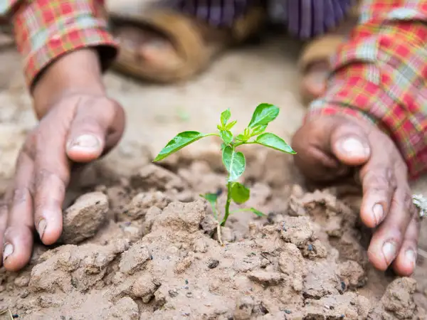 UK faith leaders urge Andy Burnham to take the initiative on climate