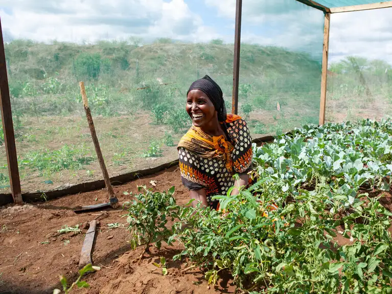St Francis novena day 6
