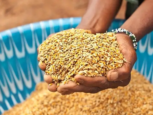 Three ways colonialism contributed to the breakdown of our modern food system