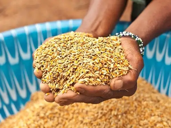 CAFOD statement on the approval of the 'Compromiso de Sevilla' by UN member states