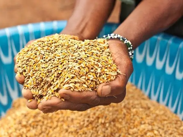 Prayers on food and hunger