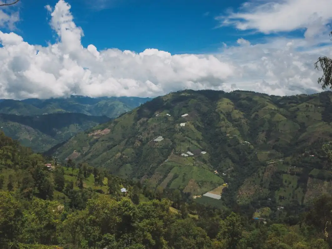 South America - Colombia - Cajamarca