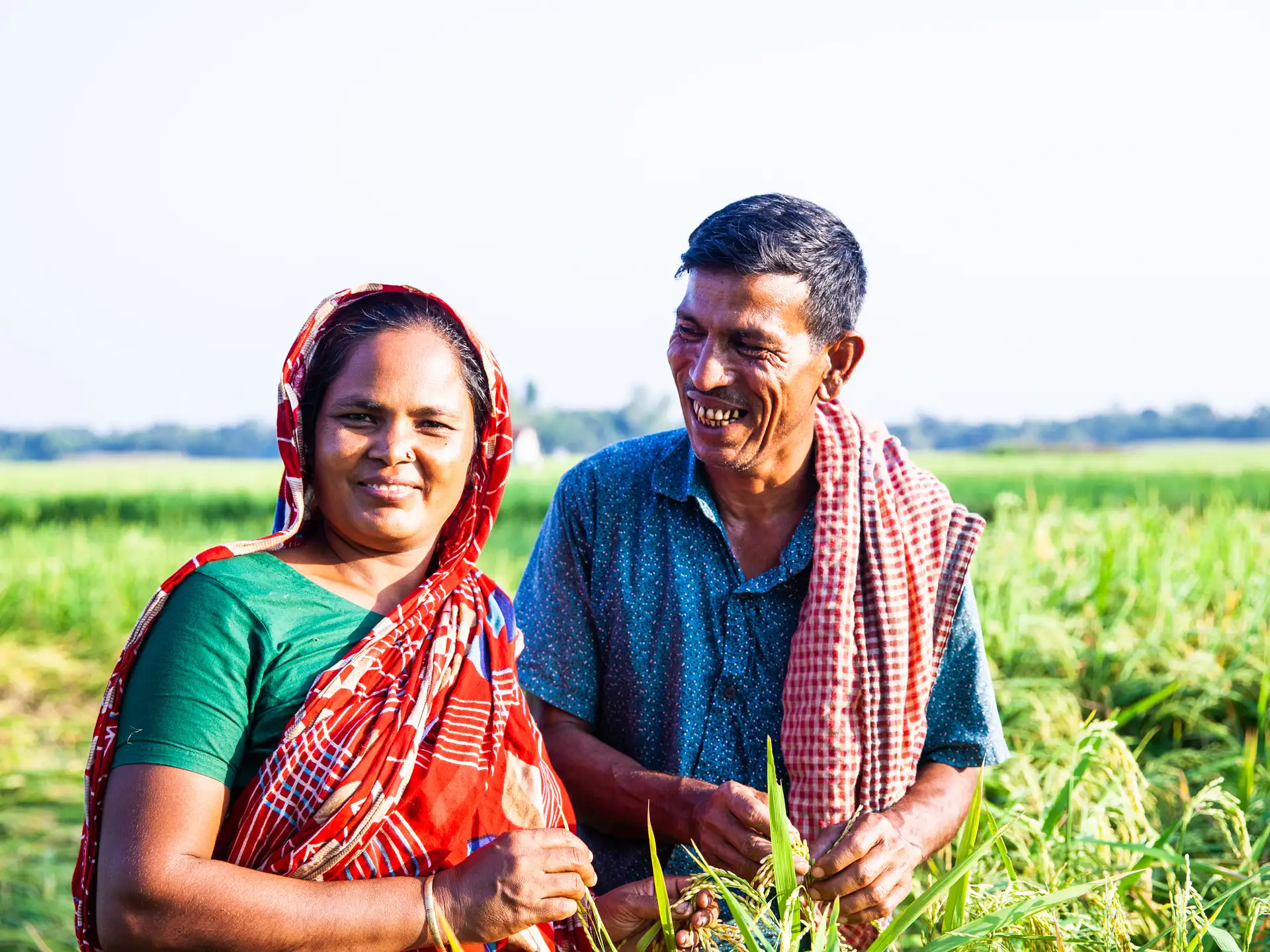 Salina and Mogibor, central Bangladesh - 32075