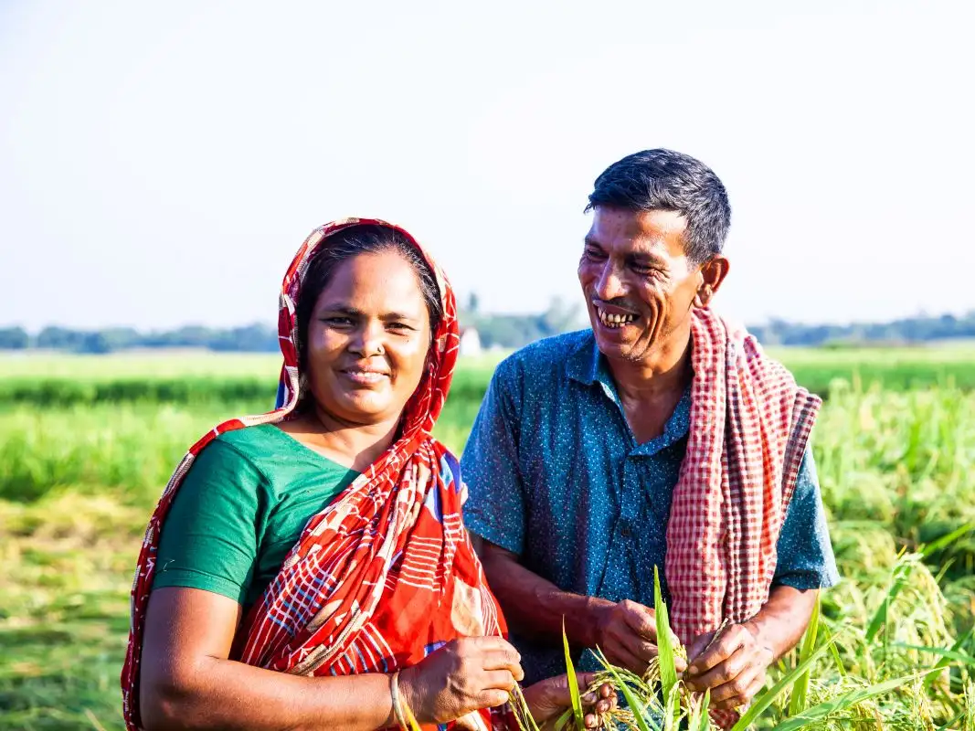 Central Bangladesh - 32075