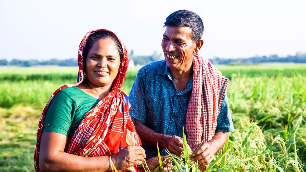 Central Bangladesh - 32075