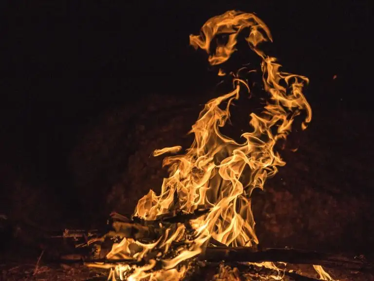 St Francis novena day 5