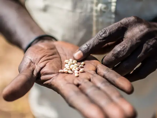 Investing in local capacity for a resilient future: Stories of change in South Sudan