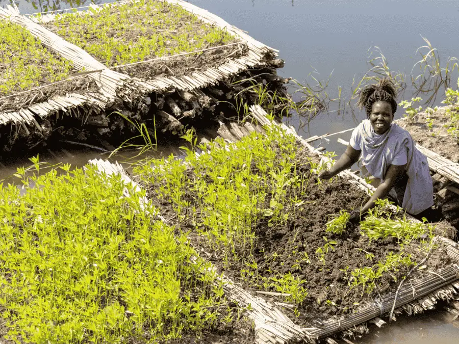 Lent calendar- 19 February