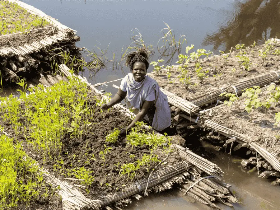 Donate to our Lent Appeal