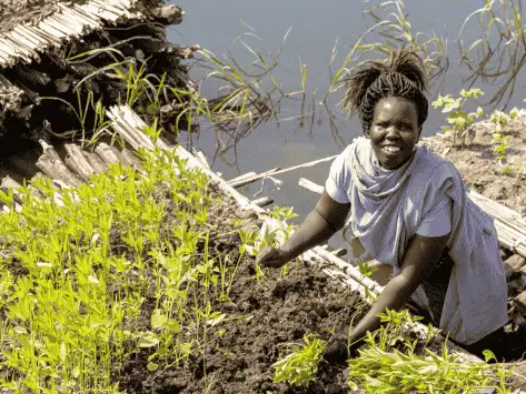 Pay in Lent Appeal fundraising