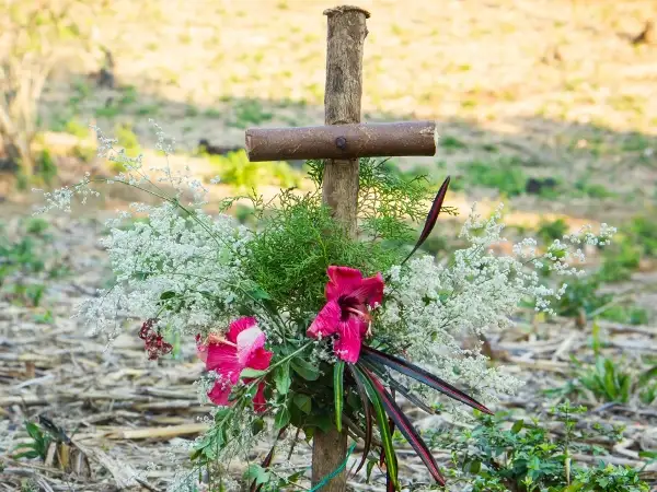 Prayers, liturgies and reflections