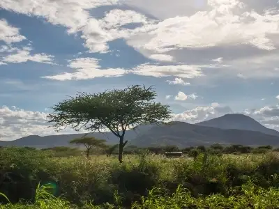 Africa- Kenya- plain